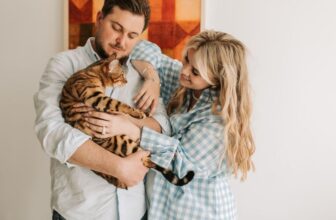 Katze richtig streicheln