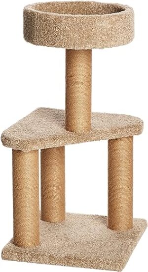Amazon Basics Spielstation und Kratzbaum für Katzen, Medium