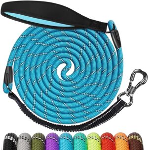 Aystkniet Bungee Schleppleine für Hunde 3M 5M10M 15M 20M, Schockabsorbierende Hundeleine mit Gepolstertem Griff Reflektierende Fäden Abschließbarer Haken für mittlere große Hund