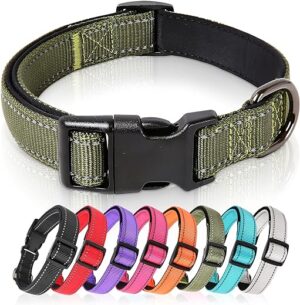HEELE Hundehalsband, Hundehalsband aus Nylon, Reflektierend Halsband Hund mit Weich Neopren Gepolstert für Welpen Kleine Mittel Große Hunde, Grün, S