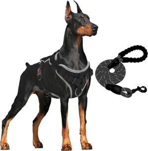 Hundegeschirr Anti Zug Gepolsterte Brustgeschirr mit Reflektorstreifen Weich Einstellbar Geschirr für Hunde Atmungsaktiv Dog Harness für Große Mittlere und Kleine Hunde (S für…