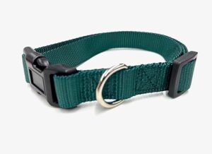Hundehalsband, Nylon (XS, Grün) – Universal mit Klickverschluss und Längenverstellung, Diverse Größen und Farben