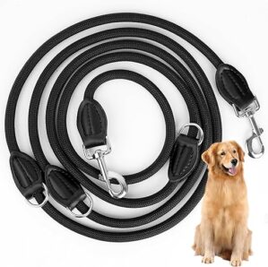 Hundeleine 3m, Verstellbare Doppelleine für Ggroße und Mittelgroße Hunde mit 2 Karabiner Hochwertige Premium robust Leine Hund (3M)