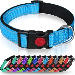 Taglory Hundehalsband, Weich Gepolstertes Neopren Nylon Hunde Halsband für Kleine Hunde, Verstellbare und Reflektierend für das Training, Himmelblau