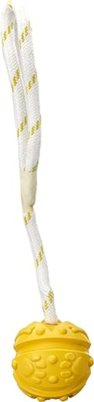 Trixie 33482 Ball am Seil, Naturgummi, schwimmend, ø 7/35 cm, farblich sortiert