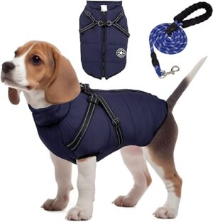 Winter Hundemantel,Warme Hundebekleidung mit Leine,Hundebekleidung & Zubehör für kleine Hunde,Es ist EIN Hundejacke Geschenk für Hunde (XL,blau)