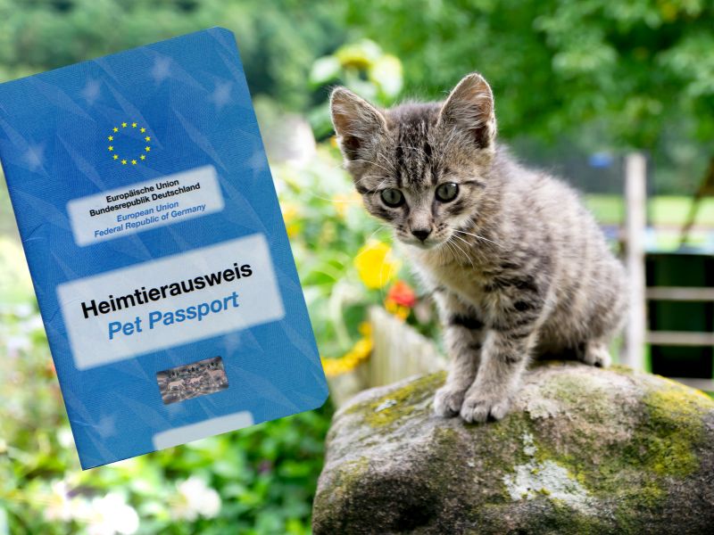 EU Heimtierausweis: Ihr Reisebegleiter für Tiere