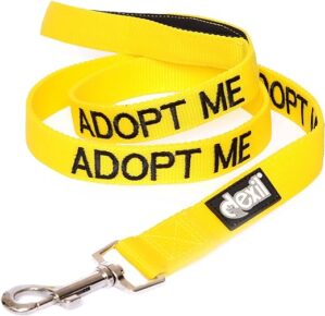 Adopt ME Hundeleine, gepolstert, 7,2 cm, 1,8 m, Gelb