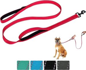 Aepeasti Hundeleine für mittelgroße bis große Hunde mit Zwei gepolsterten Griffen 5FT/6FT, Hundeleine mit Doppelgriff, reflektierende Trainingsleine, langlebige Verkehrsleine