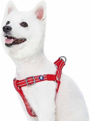 Blueberry Pet Essentials Back to Basics Verstellbares Reflektierendes Hundegeschirr zum Hineinsteigen, Rouge Rot, Brustumfang 51cm-66cm, M
