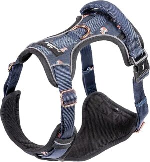 Freudentier Hundegeschirr mit atmungsaktiver Polsterung – Let’s get Foxy Kollektion – Bombenfester Sitz – Anti Zieh Brustgeschirr für große, mittelgroße und kleine Hunde (XL) |…