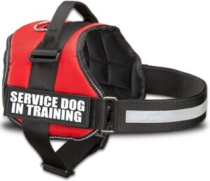 Industrial Puppy Trainingsweste für Hunde mit Klettverschluss und Griff – Geschirre in Größen von XXS bis XXL – Hundegeschirr mit reflektierendem Patch und komfortablem Mesh-Design