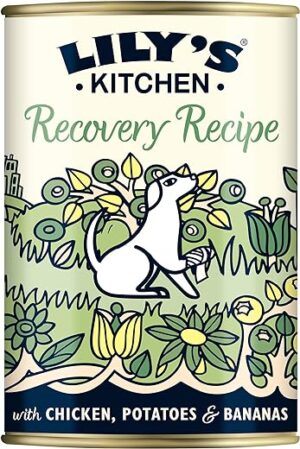 Lily’s Kitchen – Nass Hundefutter für ausgewachsene Hunde 6er Pack (6 x 400g) – Hund auf dem Weg der Besserung