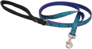 Lupine Regen Lied, gepolsterter Griff Hundeleine