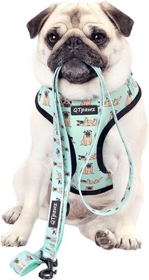 QTpawz Hundegeschirr, Mops-Motiv, verstellbar, für Mops, mit passendem Kotbeutelhalter, Large