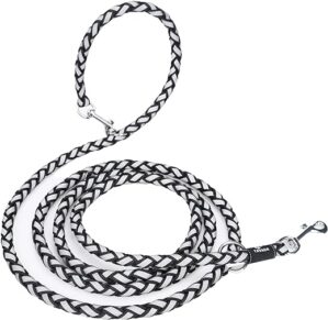 TAVADA Hundeleine mit reflektierenden Streifen – Führleine für Hunde – Nylon Doppelleine mit 2 Karabiner – 2,5m verstellbar für kleine mittelgroße Hunde