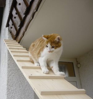 Elmato 13016 Katzentreppe 1 – 4 Meter erweiterbar (2 Meter mit 1 Verbindungsstück) ye