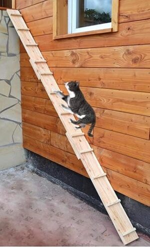 Ruhti - Katzentreppe Katzenleiter Katzenstufe für Balkon, Treppe etc.| 1 bis 7 m (1 m)
