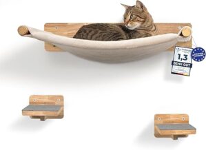 WOOWOOD® Kletterwand Katzen inkl. 2X Katzentreppe Wand [Massivholz] I Kratzbaum Wand I Hängematte Katze I Katzenwand I Wandkratzbaum I Katzenmöbel I Katzen Kletterwand I...